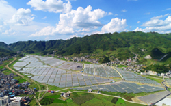 东光村现代农业产业园.jpg